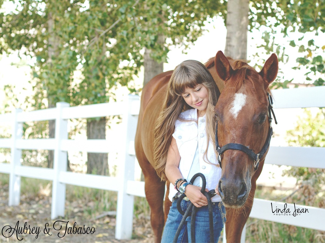 Lewiston, Idaho Equine Photography Sessions